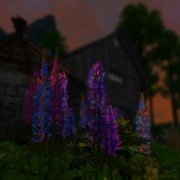 enb-2019-03-22-23-56-37-54.jpg