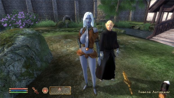 Oblivion 2017-03-11 14-34-30-562.jpg