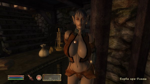 Oblivion 2017-03-11 14-44-18-256.jpg