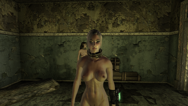 Fallout - New Vegas Screenshot 2018.10.25 - 20.21.59.32.png