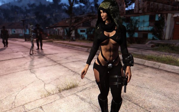 Fallout4 2018-12-29 16-06-08-47