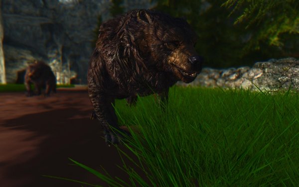 Сюжетная линия. Даника.