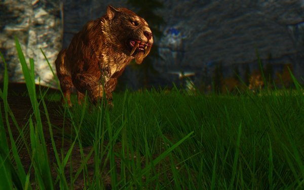 Сюжетная линия. Даника.