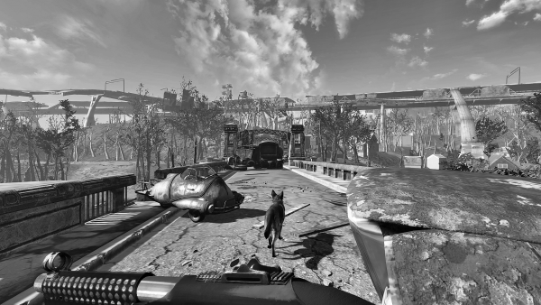 Веди меня Пёс