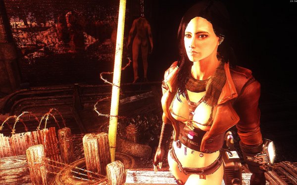 Fallout4 Сборка 5