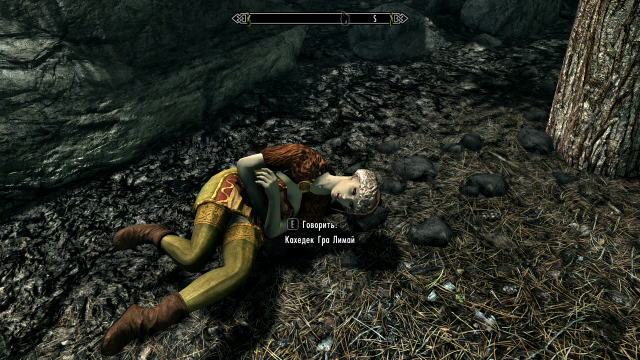 SkyrimSE 2019-01-15 21-18-39.png