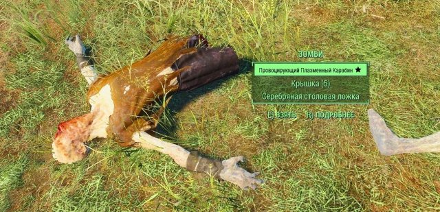 Fallout4 2019-01-17 18-34-43.jpg