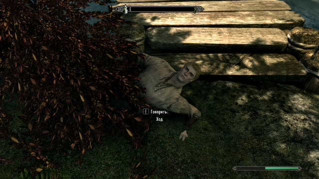 SkyrimSE 2019-01-15 21-19-17.png