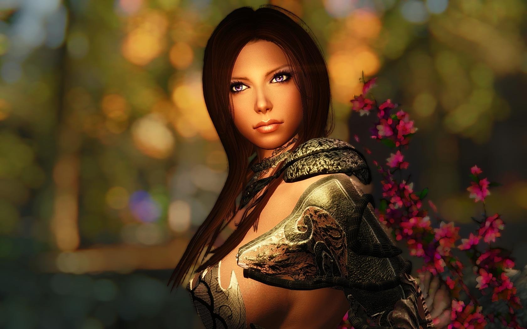 Пресет Rac Menu Skyrim LE