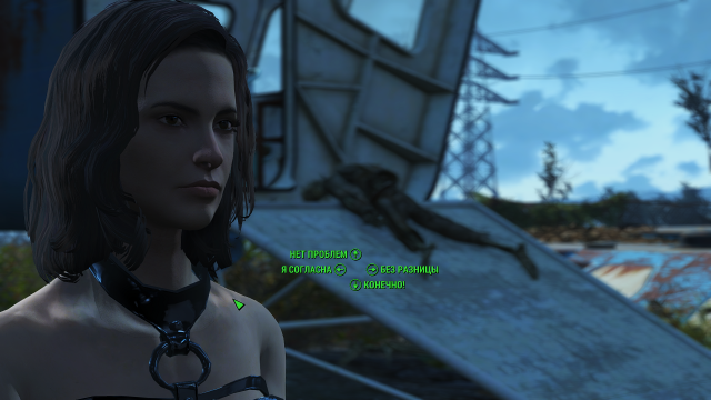 Fallout4 2019-01-31 20-12-41.png