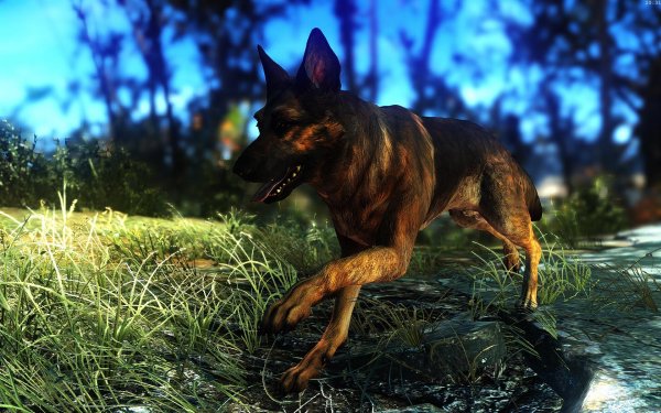 Fallout4 2019-01-21 20-31-17-00