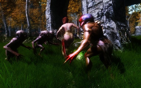 TESV 2019-01-27 13-54-42-30