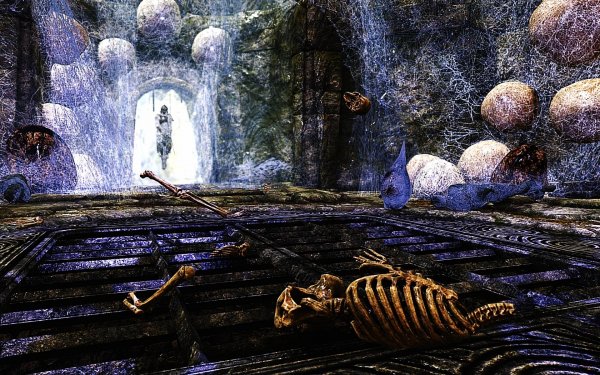 SkyrimSE 2019-01-14 10-49-17-15