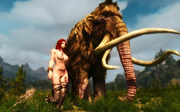 TESV 2019-01-05 11-16-08-71