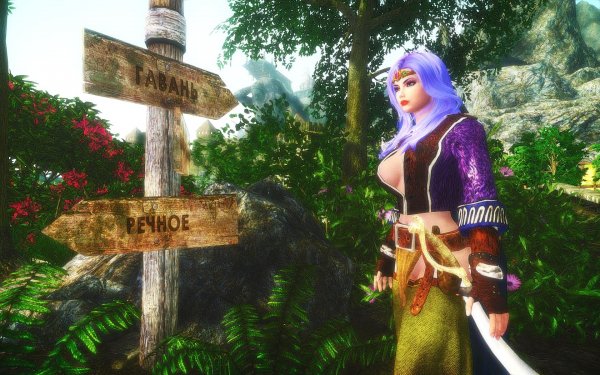 TESV 2018-01-01 13-40-27-12