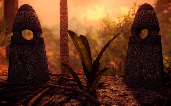 SkyrimSE 2019-01-02 09-47-07-98