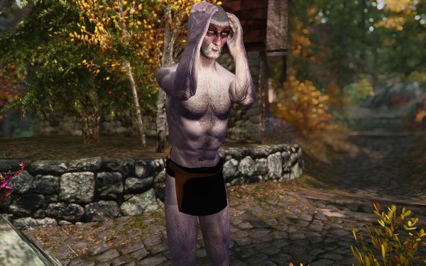 TESV 2019-01-16 11-11-40-68