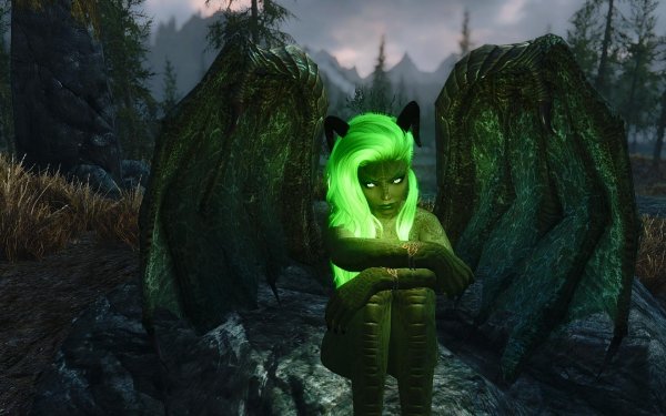 TESV 2019-01-11 20-07-26-87