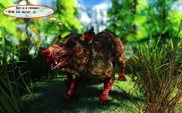 SkyrimSE 2019-01-17 11-53-54-57