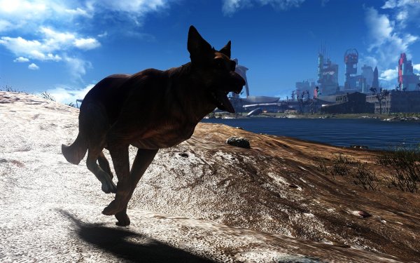 Fallout4 2019-01-29 12-47-21-78