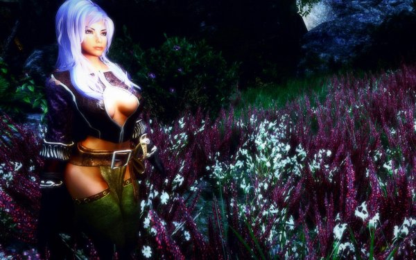 TESV 2017-12-29 20-52-25-96