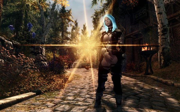 TESV 2019-01-09 21-59-23-31