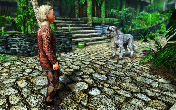 SkyrimSE 2019-01-06 22-14-28-09