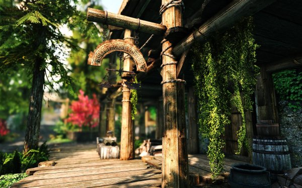 SkyrimSE 2019-01-17 12-09-54-81