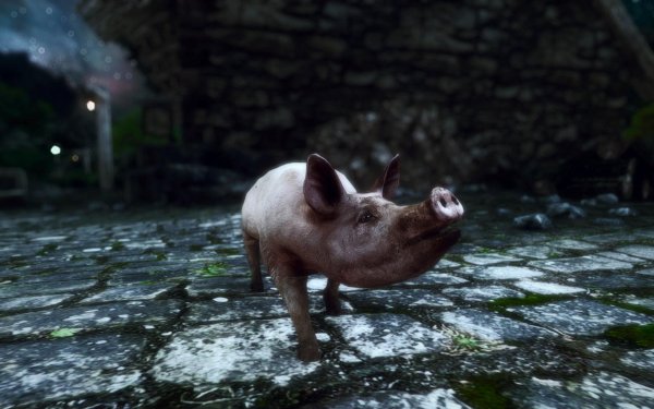 TESV 2017-12-28 22-29-03-64