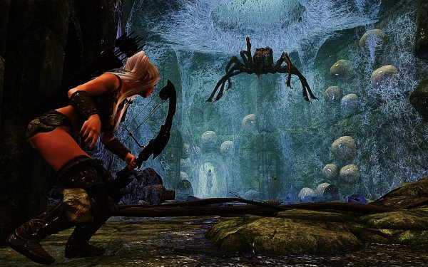 SkyrimSE 2019-01-14 10-48-48-80