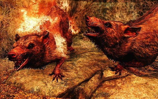 SkyrimSE 2019-01-14 10-39-58-70