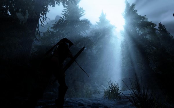 SkyrimSE 2019-01-28 13-26-34-97