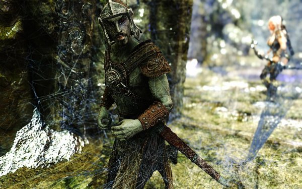 SkyrimSE 2019-01-14 10-54-24-34