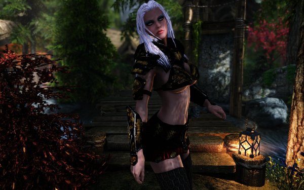 SkyrimSE 2019-01-01 13-34-15-91