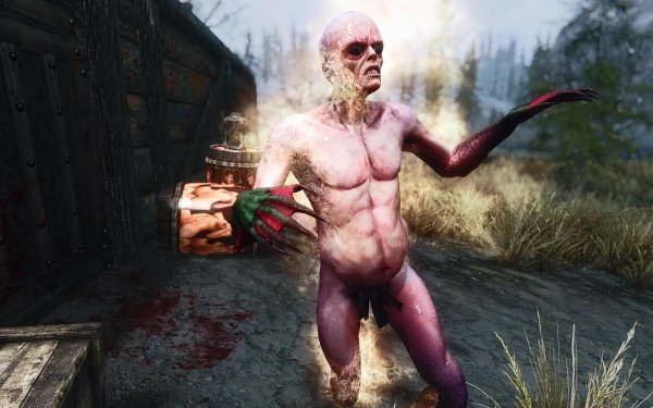 TESV 2019-01-11 19-35-46-67