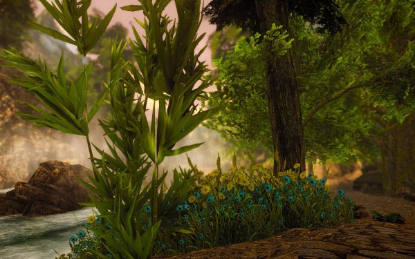 SkyrimSE 2019-01-02 09-51-39-00