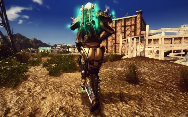 FalloutNV 2019-01-28 19-56-24-53