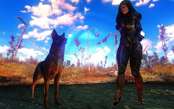 Fallout4 2019-01-15 19-19-58-42