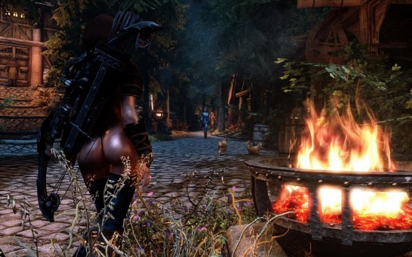 SkyrimSE 2019-01-30 11-56-19-33