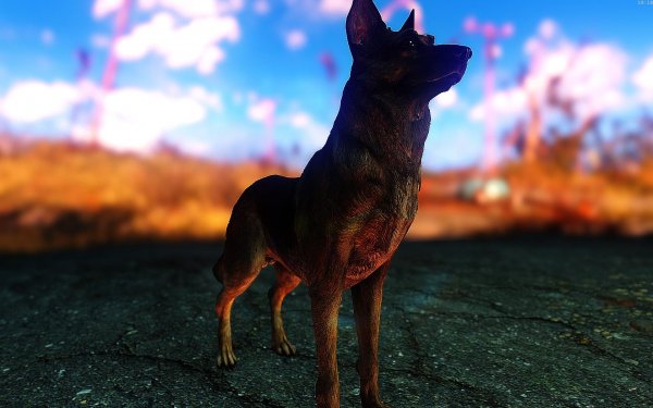 Fallout4 2019-01-15 19-18-55-66
