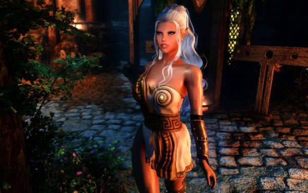 SkyrimSE 2019-01-21 07-52-45-06