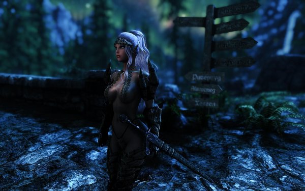 SkyrimSE 2019-01-18 11-28-57-41