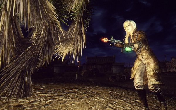 FalloutNV 2019-01-28 10-41-59-87