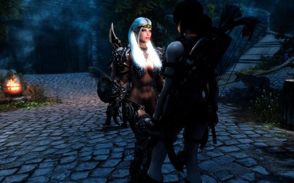 SkyrimSE 2019-01-23 21-18-10-78