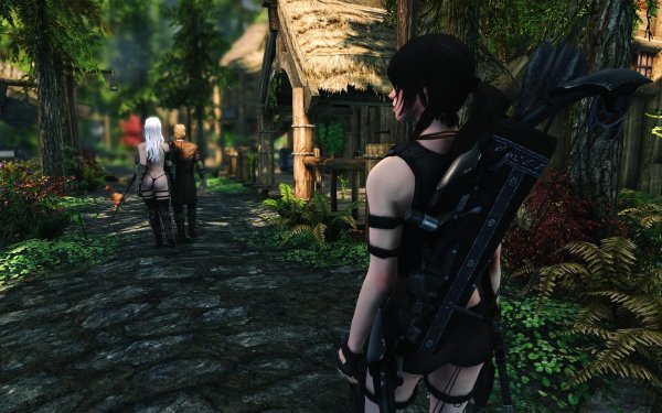 SkyrimSE 2019-01-17 12-07-17-21