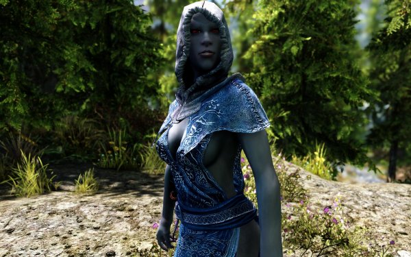 SkyrimSE 2019-01-25 10-38-25-70