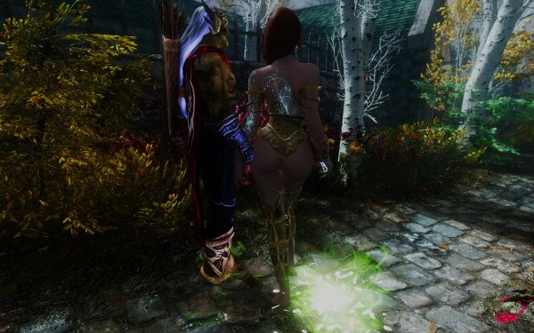 TESV 2019-01-27 13-32-12-78