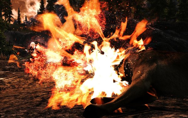 SkyrimSE 2019-01-01 10-38-50-03