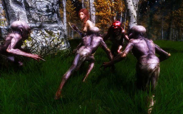 TESV 2019-01-27 13-55-09-99