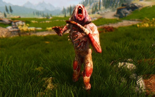 TESV 2019-01-08 10-49-35-78